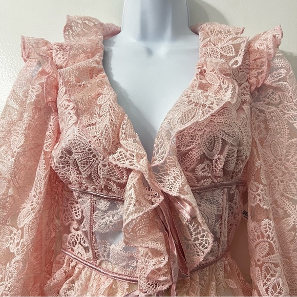 Womens S Embroidered Lace Sheer Pink Top Fairy Barbie Feminine Coquette Romantic - Picture 2 of 12